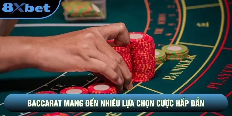 Baccarat mang đến nhiều lựa chọn cược hấp dẫn