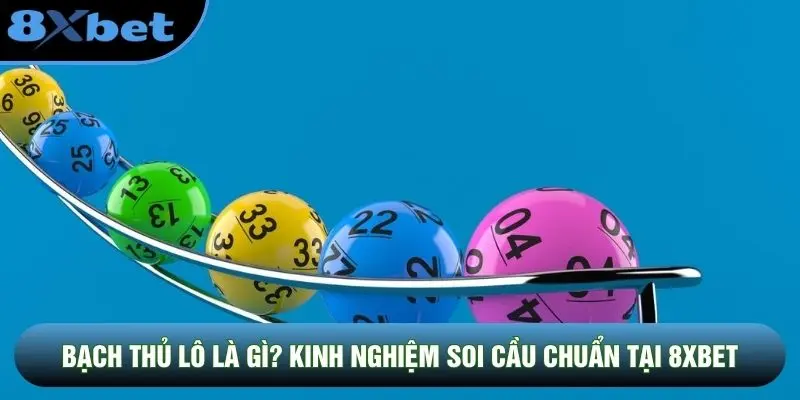 Bạch Thủ Lô Là Gì? Kinh Nghiệm Soi Cầu Chuẩn Tại 8XBET