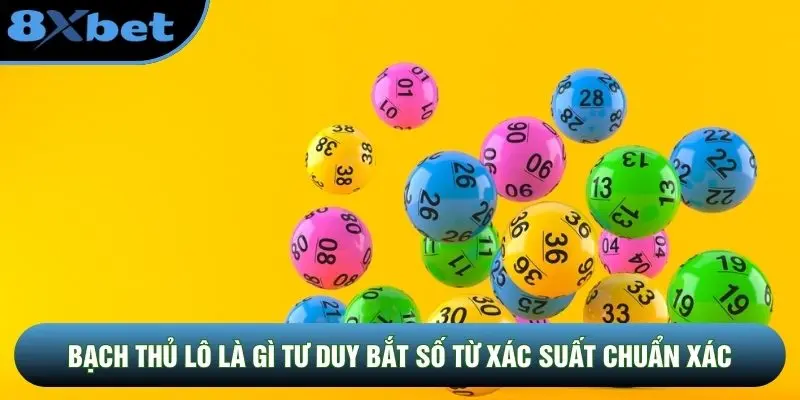Bạch thủ lô là gì tư duy bắt số từ xác suất chuẩn xác