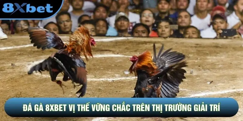 Đá gà 8XBET vị thế vững chắc trên thị trường giải trí Đá gà 8XBET vị thế vững chắc trên thị trường giải trí