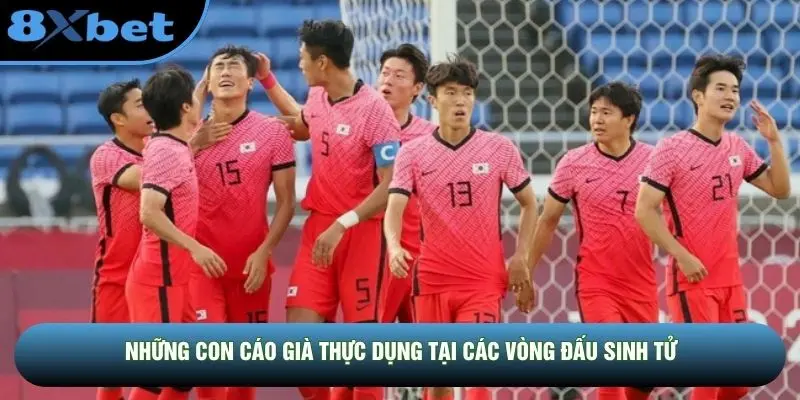 Những con cáo già thực dụng tại các vòng đấu sinh tử