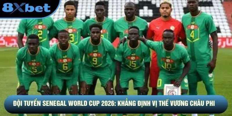Đội Tuyển Senegal World Cup 2026: Khẳng Định Vị Thế Vương Châu Phi