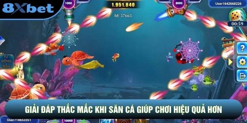 Giải đáp thắc mắc khi săn cá giúp chơi hiệu quả hơn