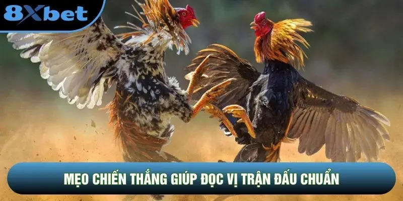 Mẹo chiến thắng giúp đọc vị trận đấu chuẩn