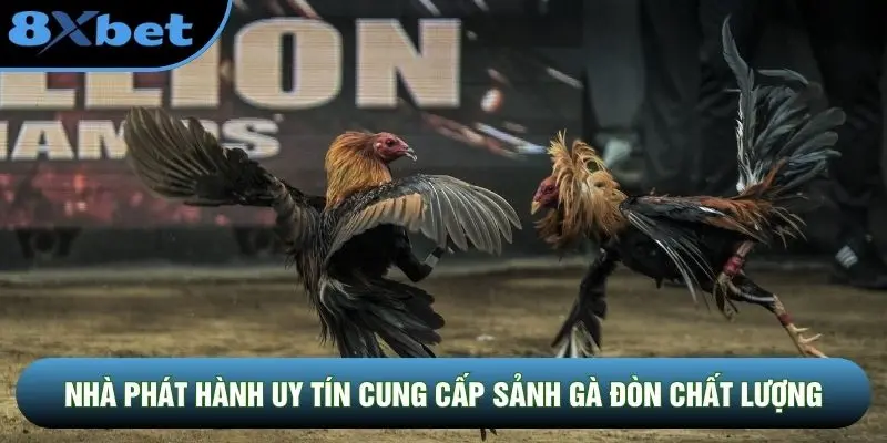 Nhà phát hành uy tín cung cấp sảnh gà đòn chất lượng